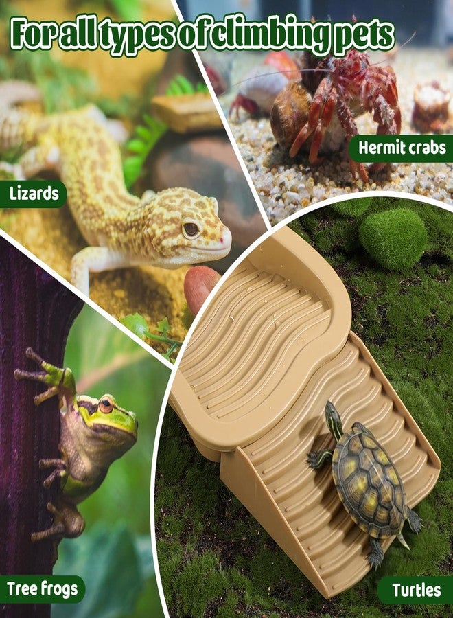 Zyghjort Large Reptile Water Bowl with Ramp, Thickened Non-Slip Feeding Dish & Bathing Pool for Turtle, Snake, Gecko, Bearded Dragons, Lizard Habitat Accessories - Image 5